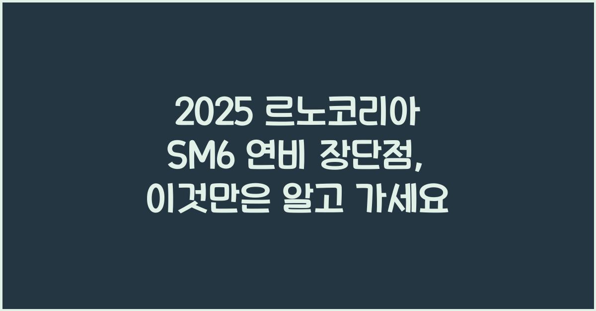 2025 르노코리아 SM6 연비 장단점