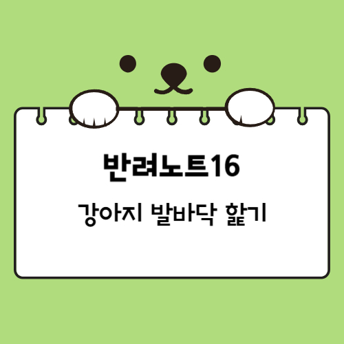 강아지 발바닥 핥는 이유