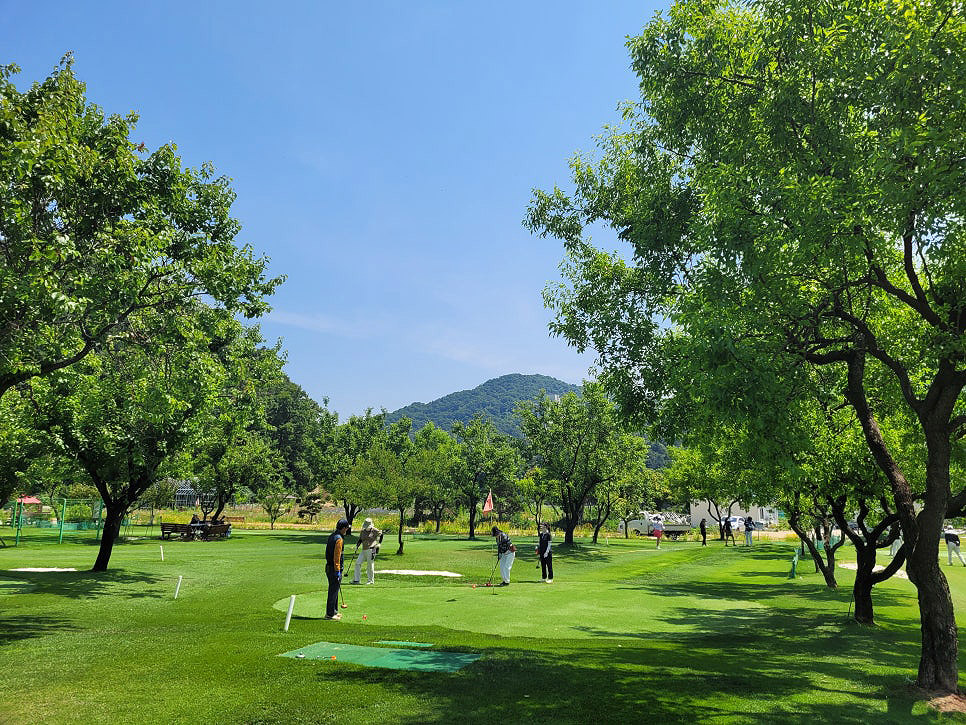 경기도 가평 청심빌리지 실버타운 파크골프장
