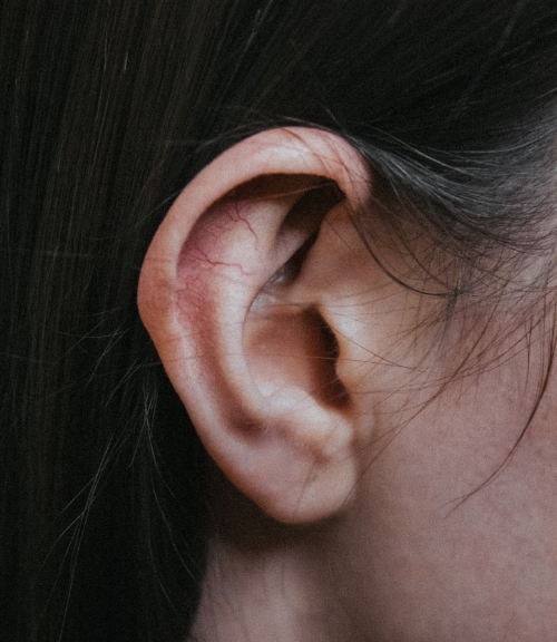 메니에르 병 원인 증상 치료법