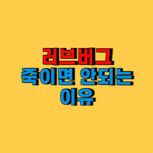 러브버그 죽이면 안되는 이유