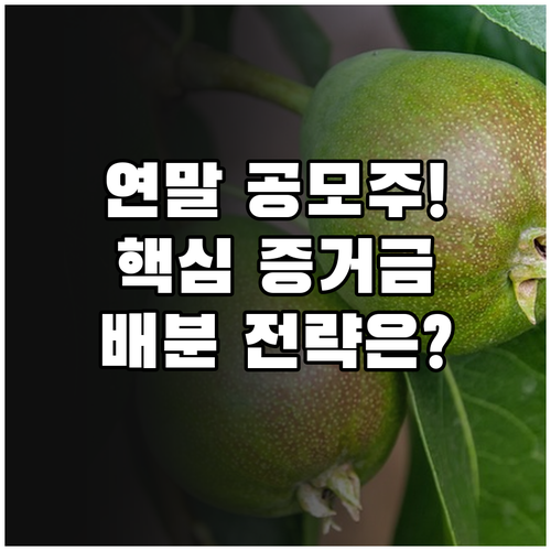 2025년 연말 공모주 청약 성공을 ..