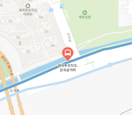 세곡푸르지오.은곡삼거리에서 인천공항 리무진 공항버스(6600번) 지도 위치