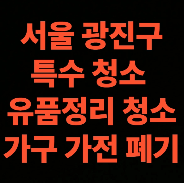 서울 광진구 유품정리 업체 비용 후기 특수청소 전문