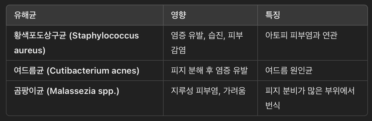 유해균 (Bad Bacteria)