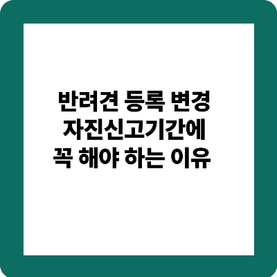 반려견 등록 변경 자진신고기간에 꼭 해야 하는 이유
