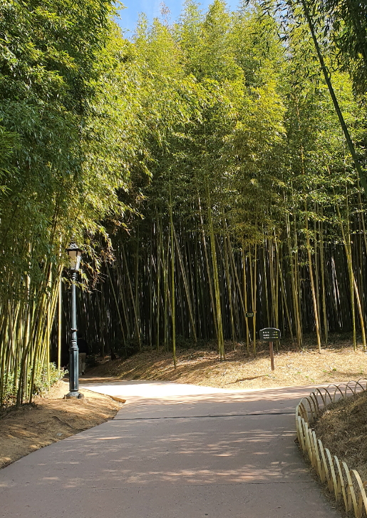 6월 여행하기 좋은 곳 9선 여름의 매력을 만끽하세요!