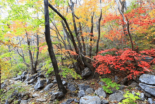 남덕유산09