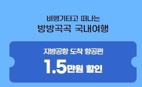 비행기 및 렌트카 할인