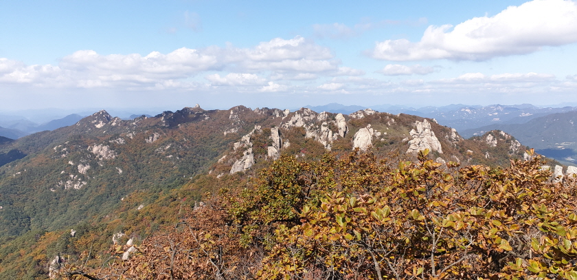 속리산단풍-6