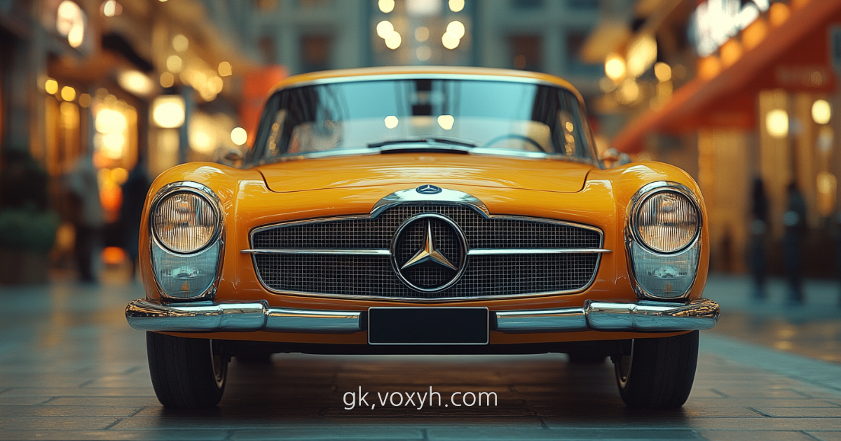 제주도 렌트카 가상 이미지