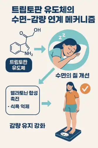 트립토판과 수면
