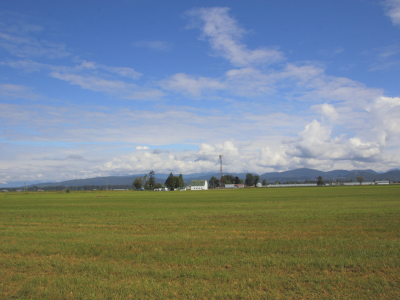 농지연금 가입조건 수령액 계산 총정리