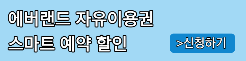 에버랜드 자유이용권 할인