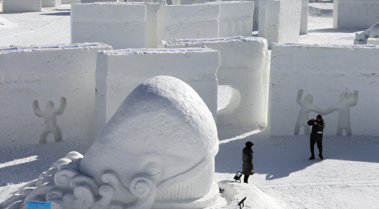 대관령 눈꽃축제