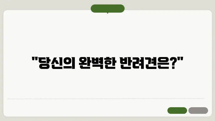개 종류