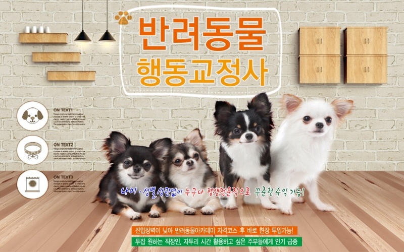 반려동물행동교정사 바로가기