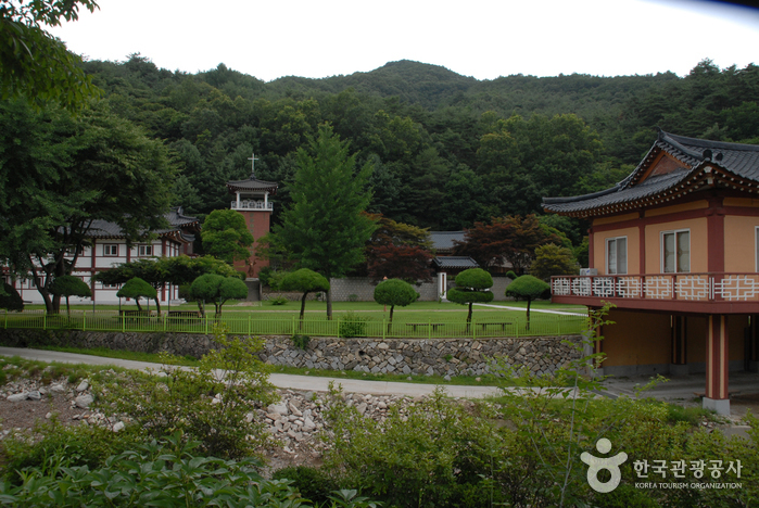 제천 가볼만한곳 베스트10