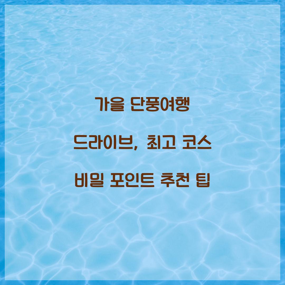 가을 단풍여행 드라이브