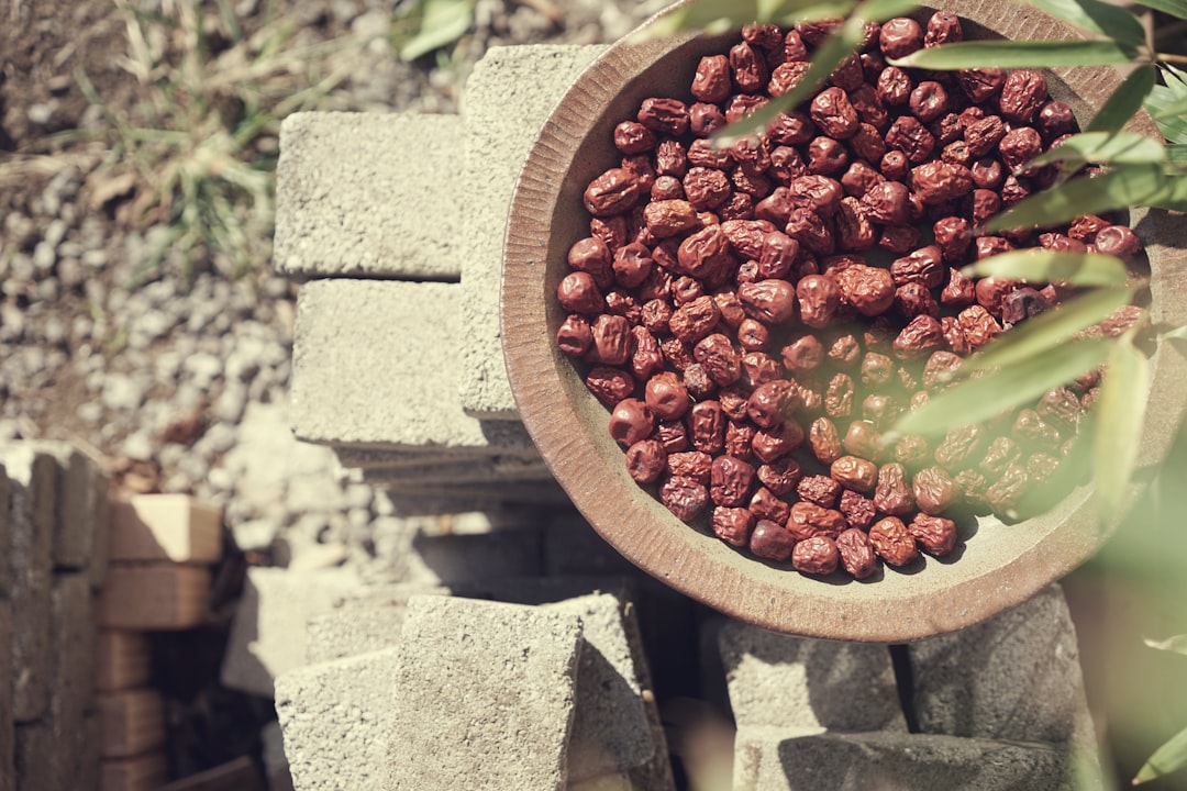 Jujube
