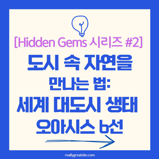 타이틀 관련 이미지