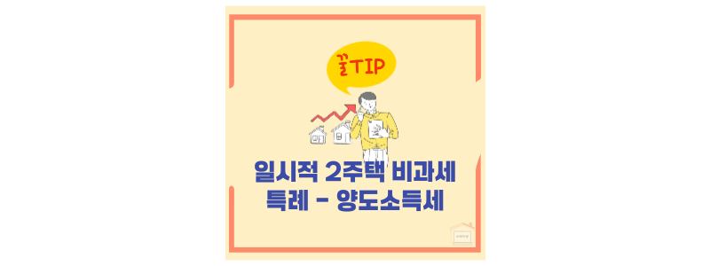 비과세 특례