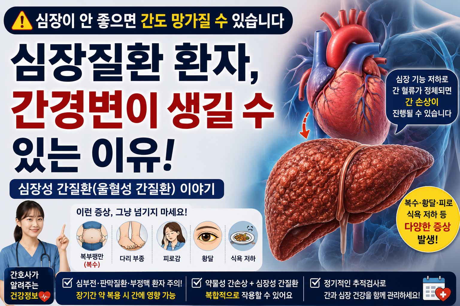 심부전과 심장판막 질환으로 인해 간경변과 복수가 발생할 수 있는 과정을 설명하는 의료 건강정보 썸네일 이미지