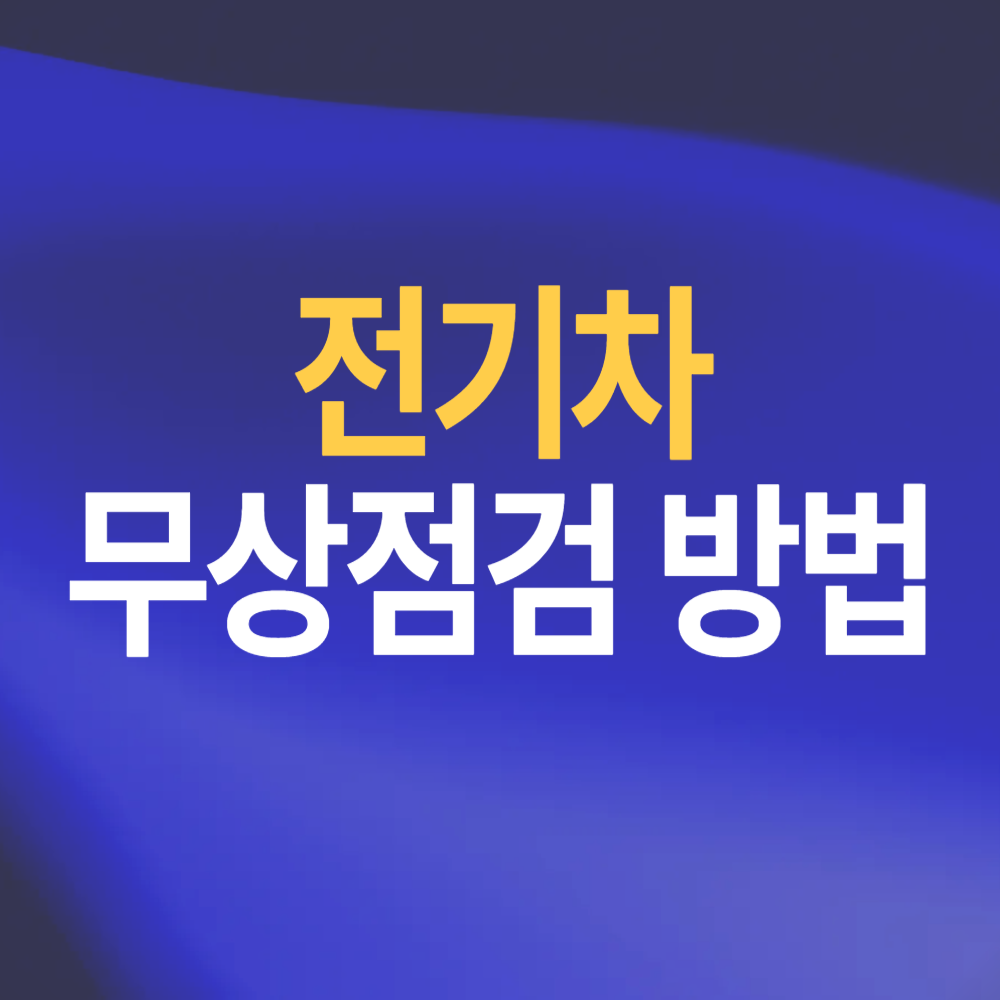 전기차 무상점검 기간 방법 현대 기아 벤츠 테슬라 등