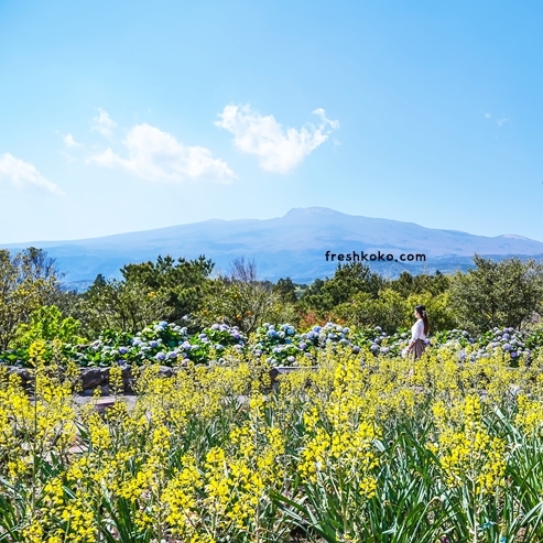 8월 국내여행지 베스트 10