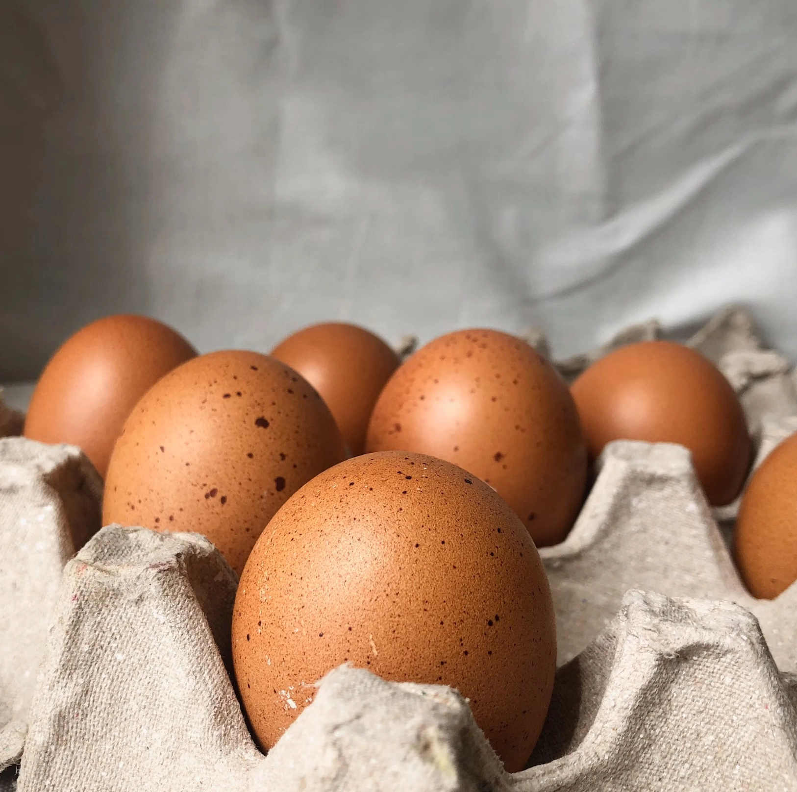 달걀 난각번호 보는법