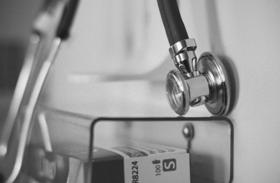 강아지도 종합검진