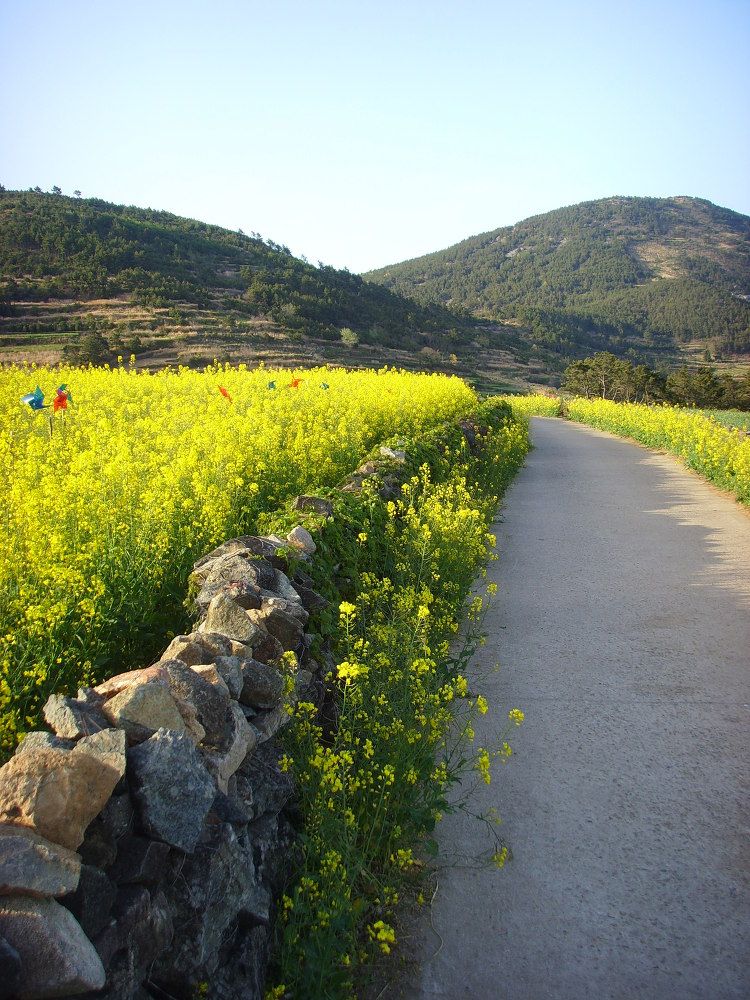 청산도 사진