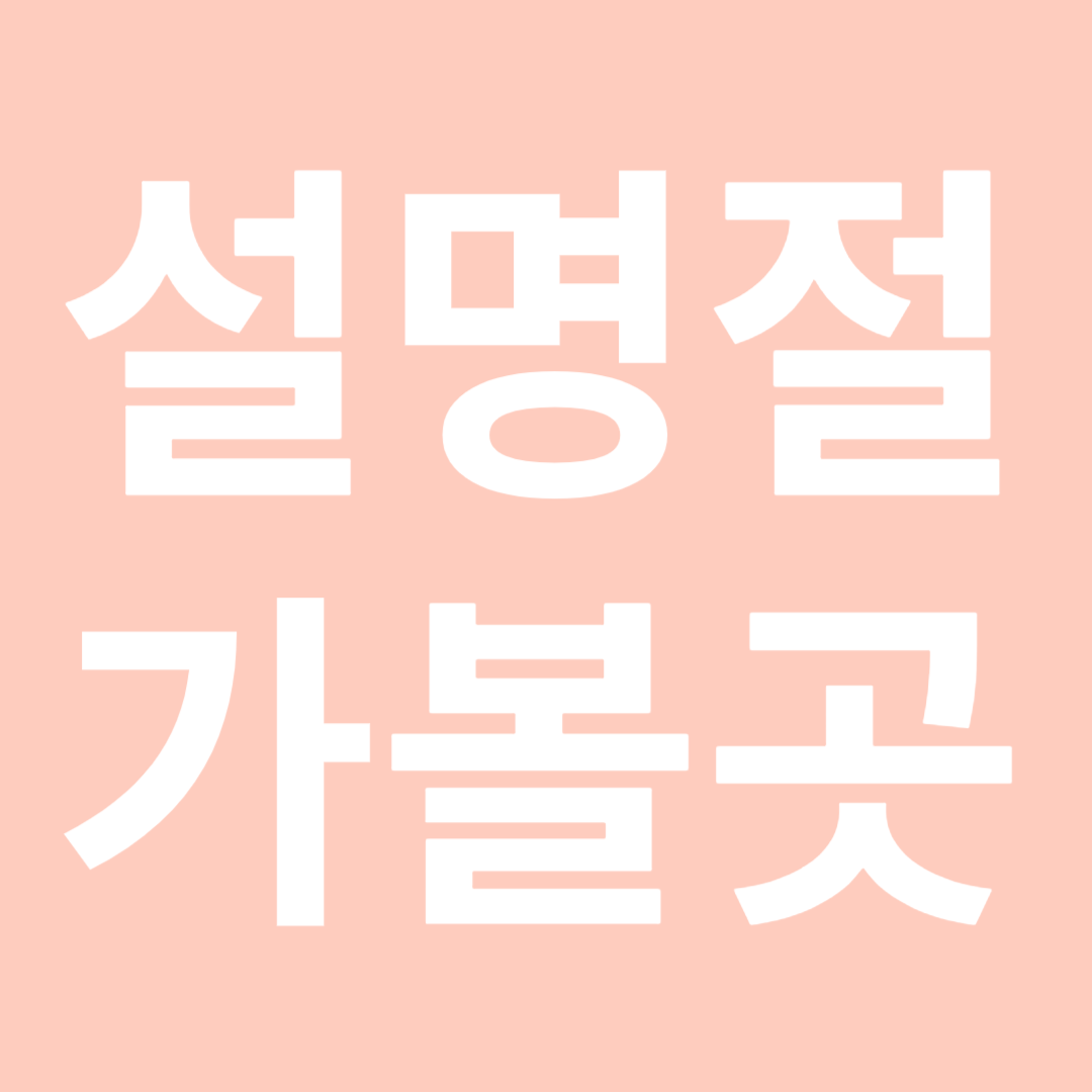 설명절 가볼 곳 추천