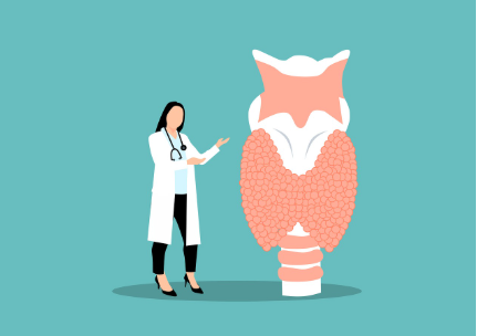 &ldquo;갑상선 호르몬이 부족하면 아무리 굶어도 살이 안 빠진다?&rdquo;👉 갑상선 기능 저하증과 체중 변화의 관계, 체크리스트 포함