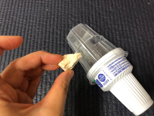 고양이분리불안