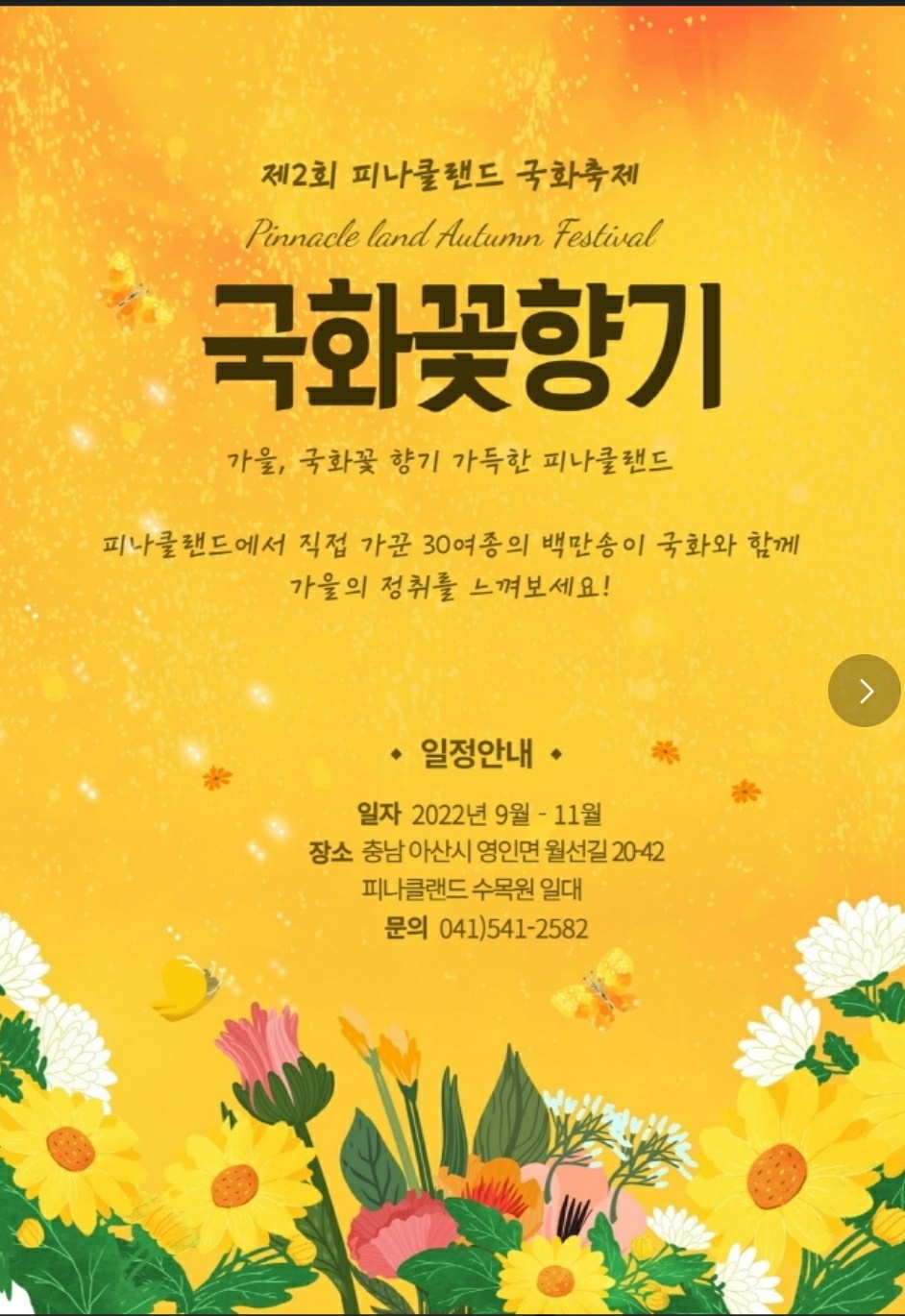 가을 꽃 축제 일정과 지역
