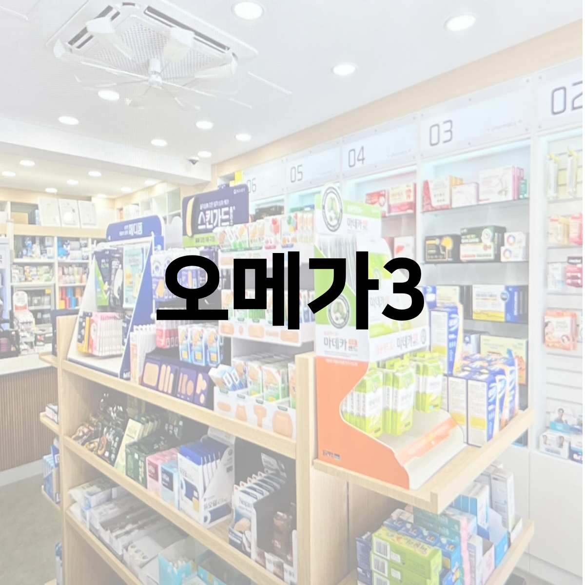 오메가-3-사진