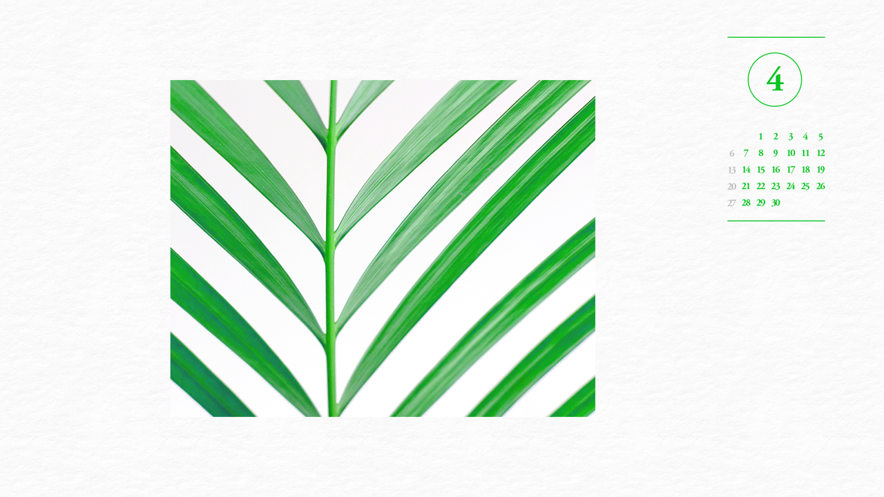 06 초록색 잎사귀 A - 2025년4월 노트북배경화면
