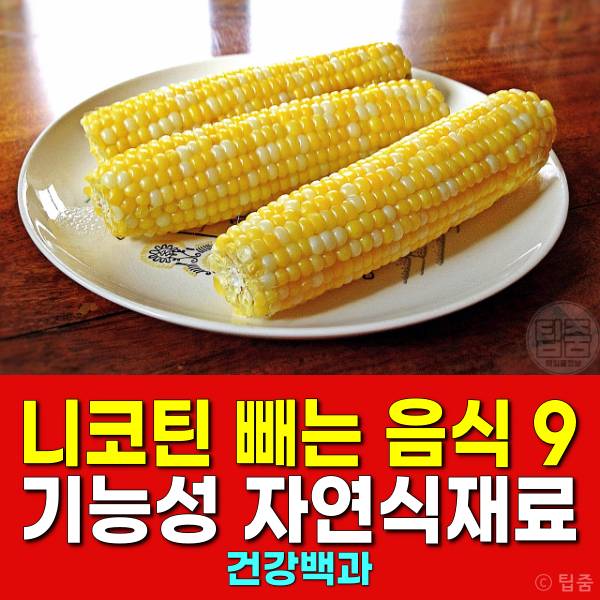 니코틴 빼는음식 옥수수 기능성 자연식재료 폐암