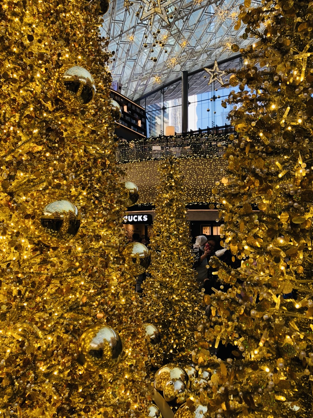 별마당 대형트리6