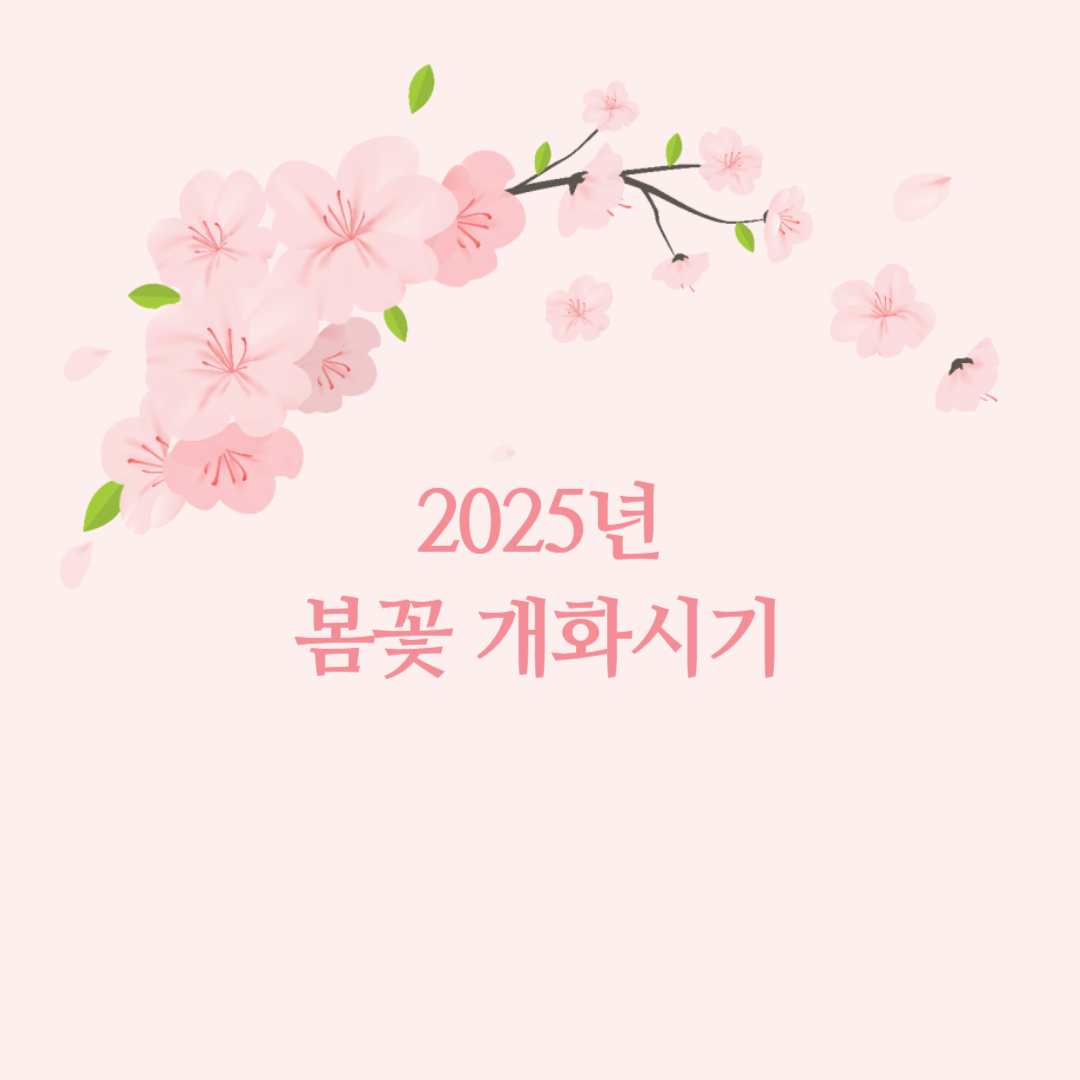 2025 봄꽃 개화 시기 타이틀