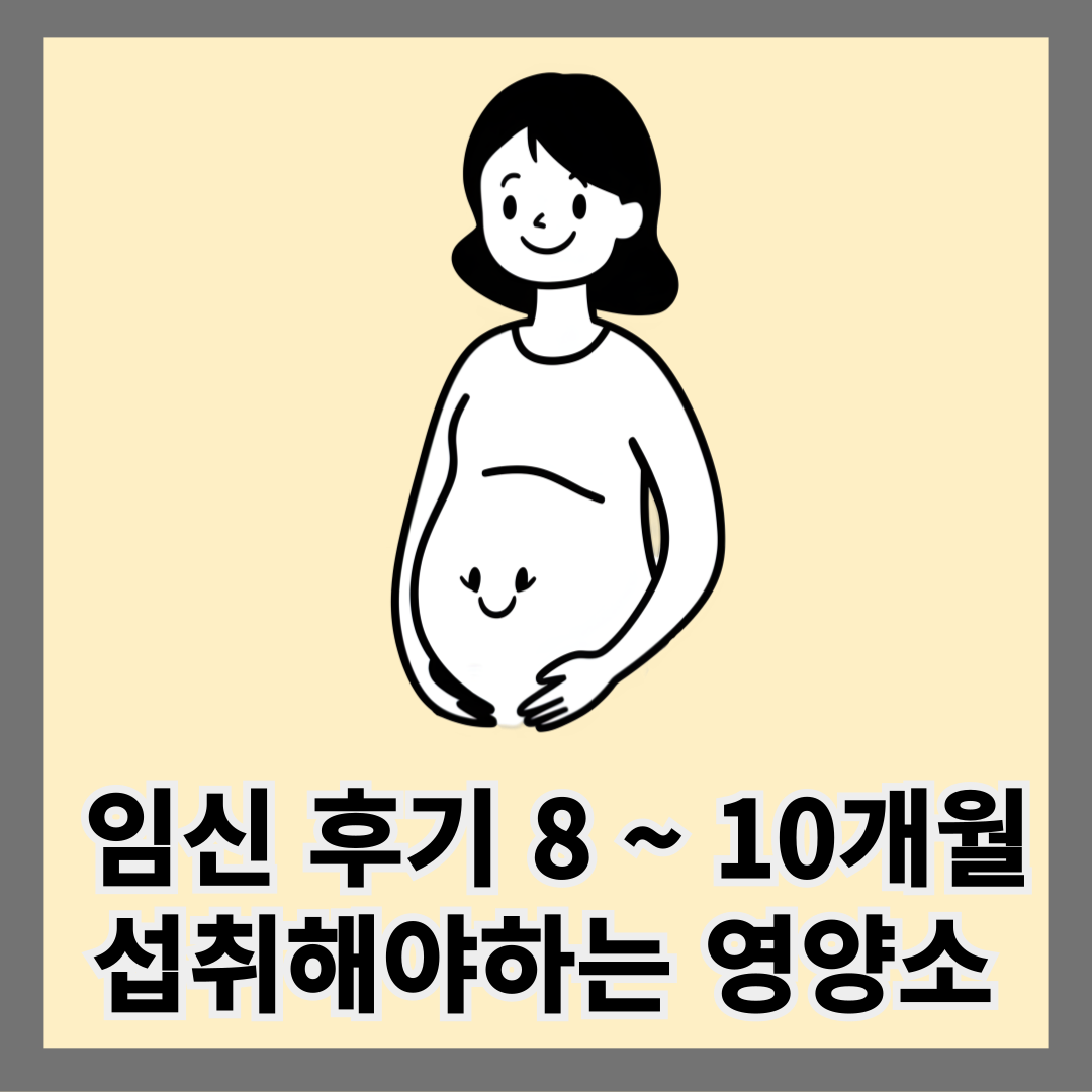 임신후기 필수 영양제