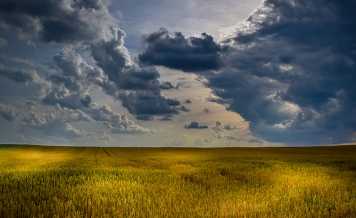 공익직불금 신청 자격