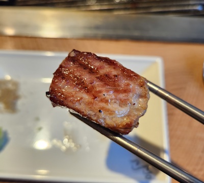 고공성수목살한점