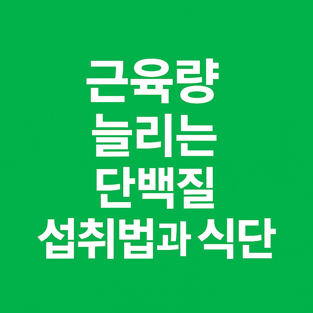 하루 단백질 섭취량 계산법과 근육량 늘리는 식단 구성법