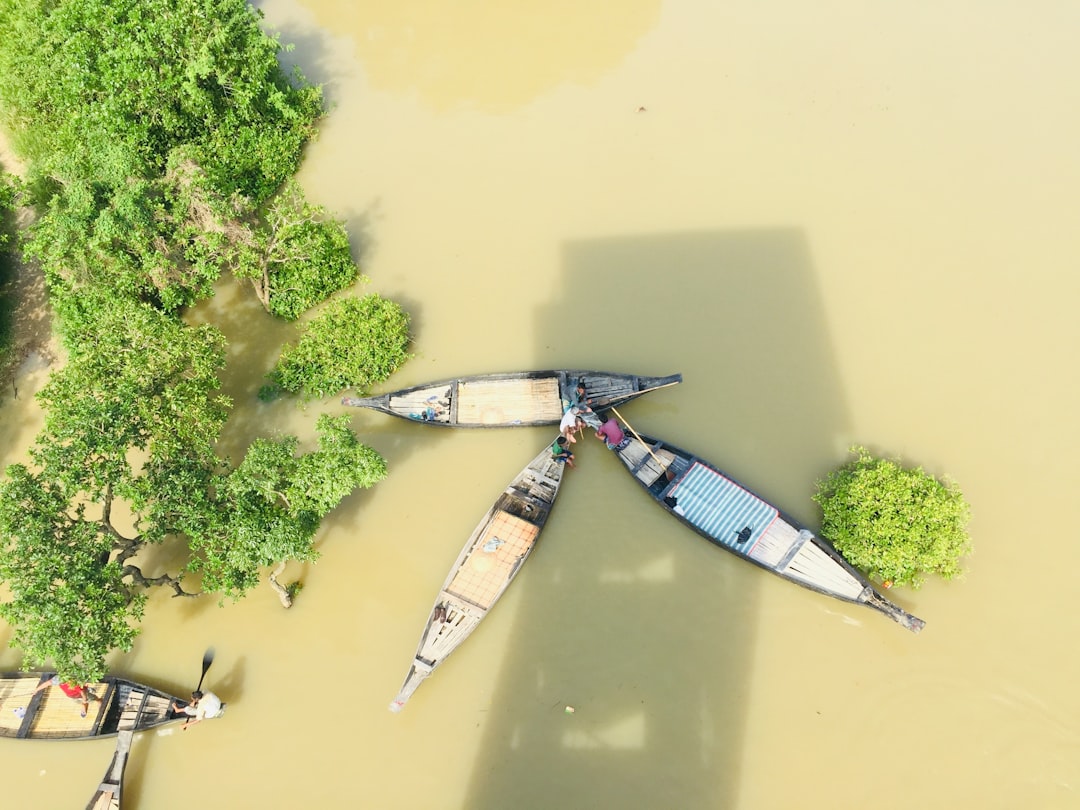 Disaster assistance