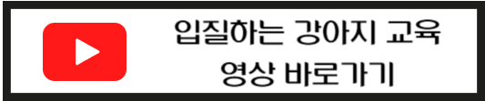 입질하는 새끼강아지 교육방법