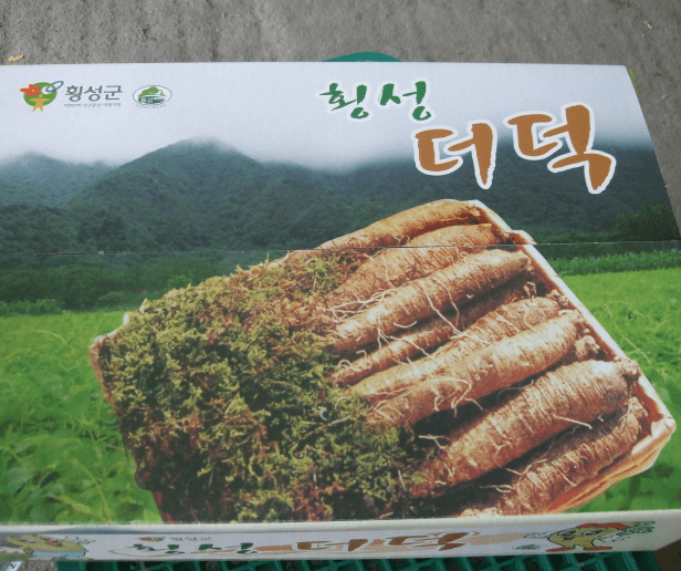 [6시 내고향] 횡성 더덕 택배 주문 선물세트 판매 주주리농장