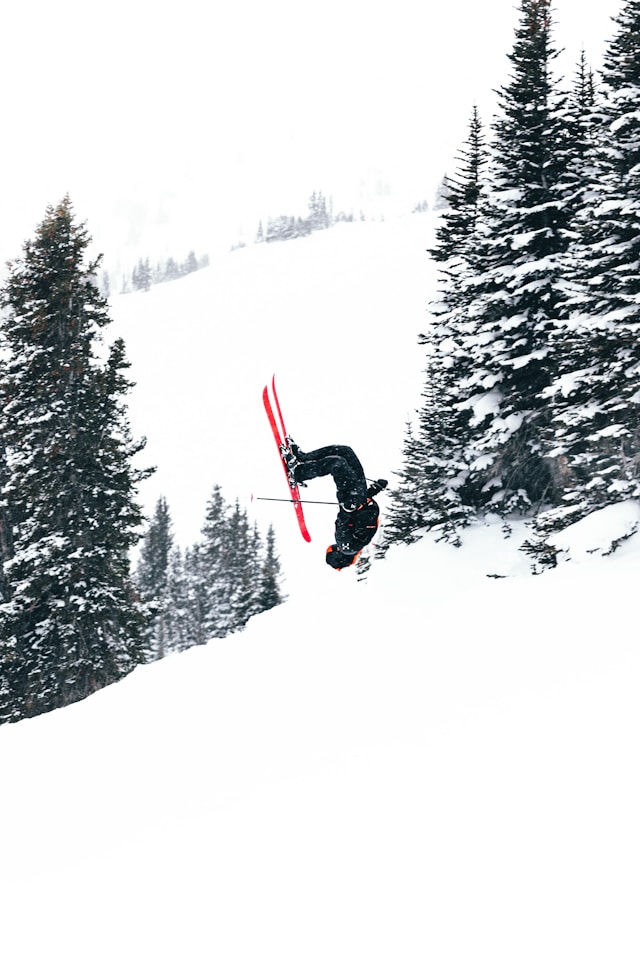 수원 스타필드 별마당 도서관 포토존 명당