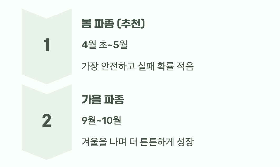 씨앗의 첫 무대, 언제가 좋을까?